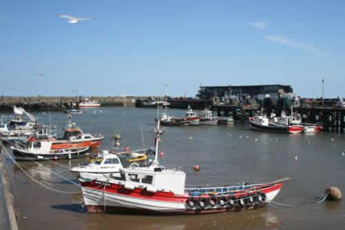 Savannah-by-the-sea Bridlington Bagian luar foto